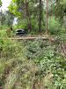Auto in Wald gefahren
