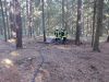 Schwelbrand im Wald