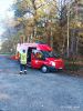 Schwelbrand im Wald