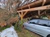 Baum auf CarPort