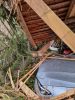 Baum auf CarPort