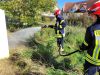 Vegetationsbrand